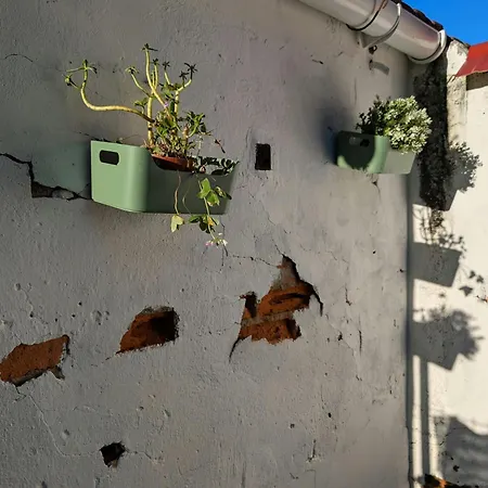 Jardin Secreto By Oasis Blibao Ebi02374