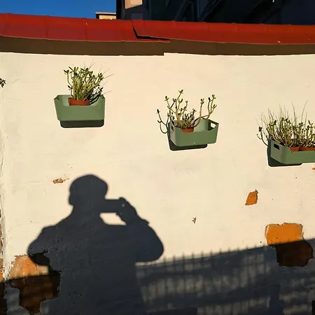 Jardin Secreto By Oasis Blibao Ebi02374 * Bilbao